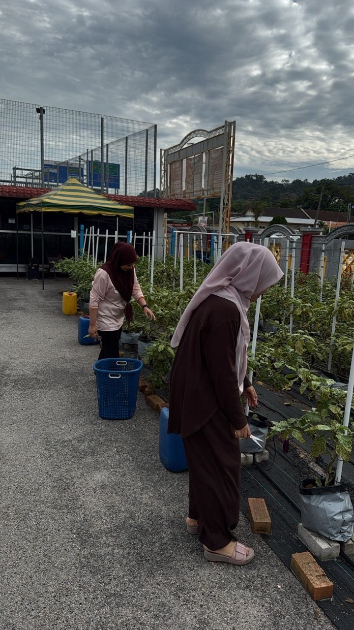 Smart Farming System Asset