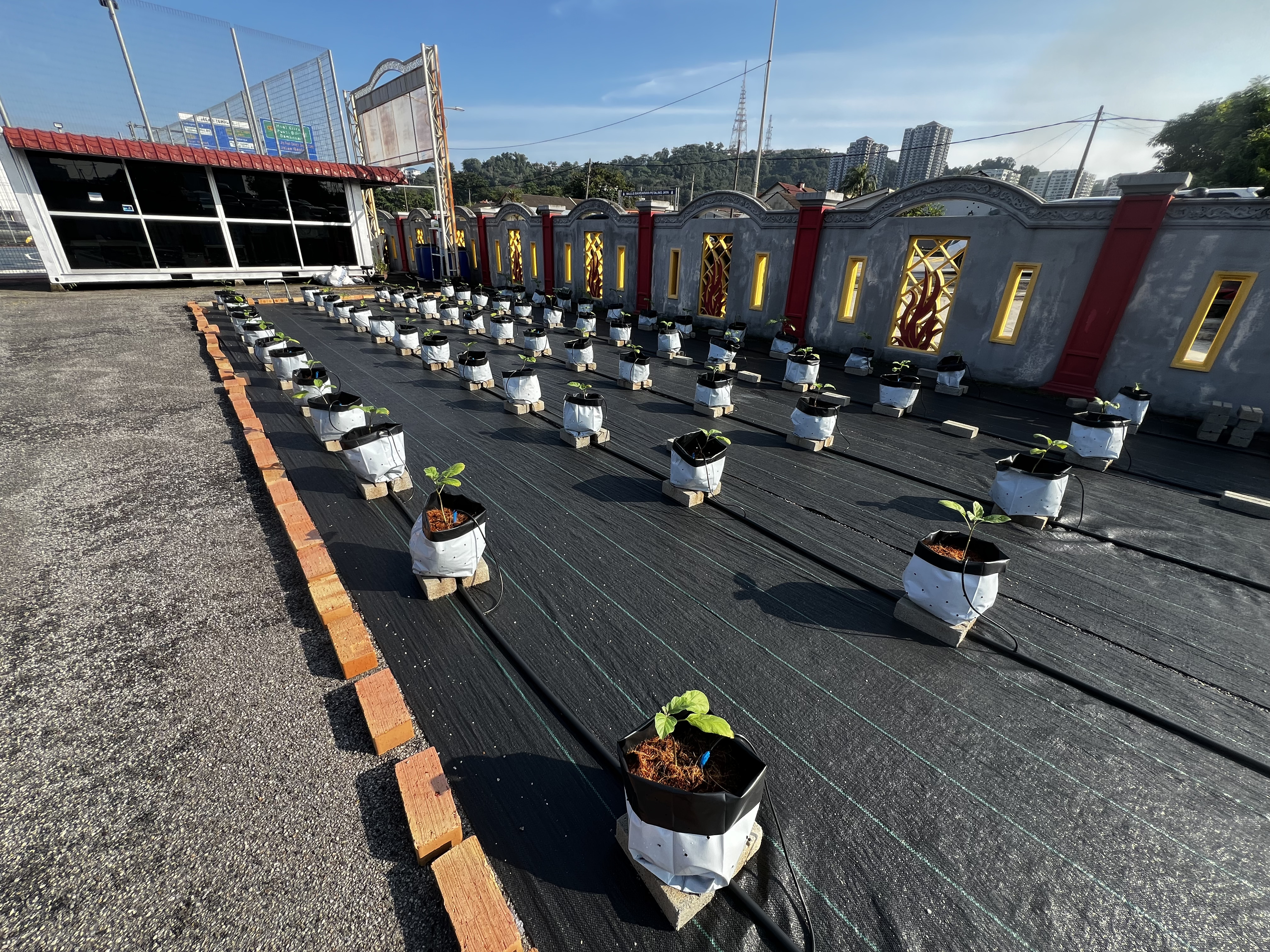 Smart Farming System Asset