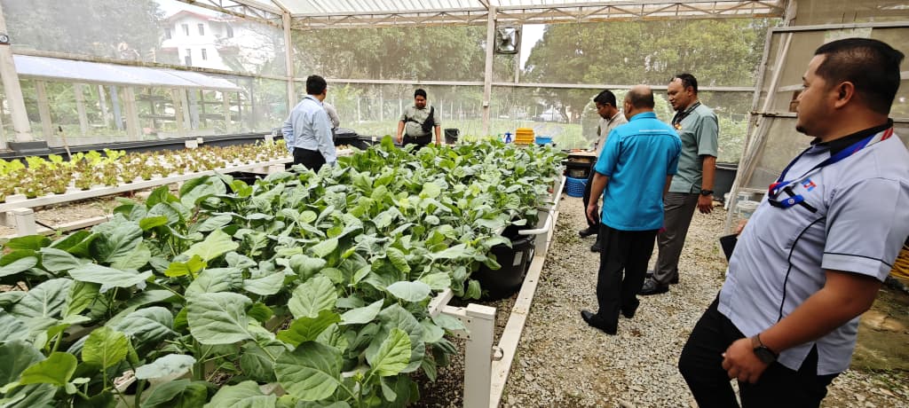 Smart Farming System Asset