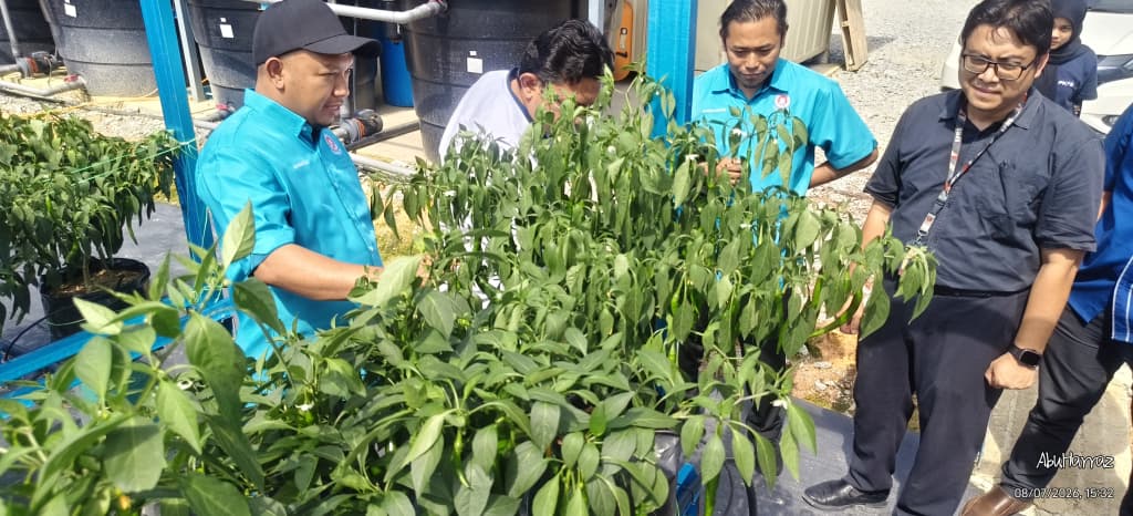 Smart Farming System Asset