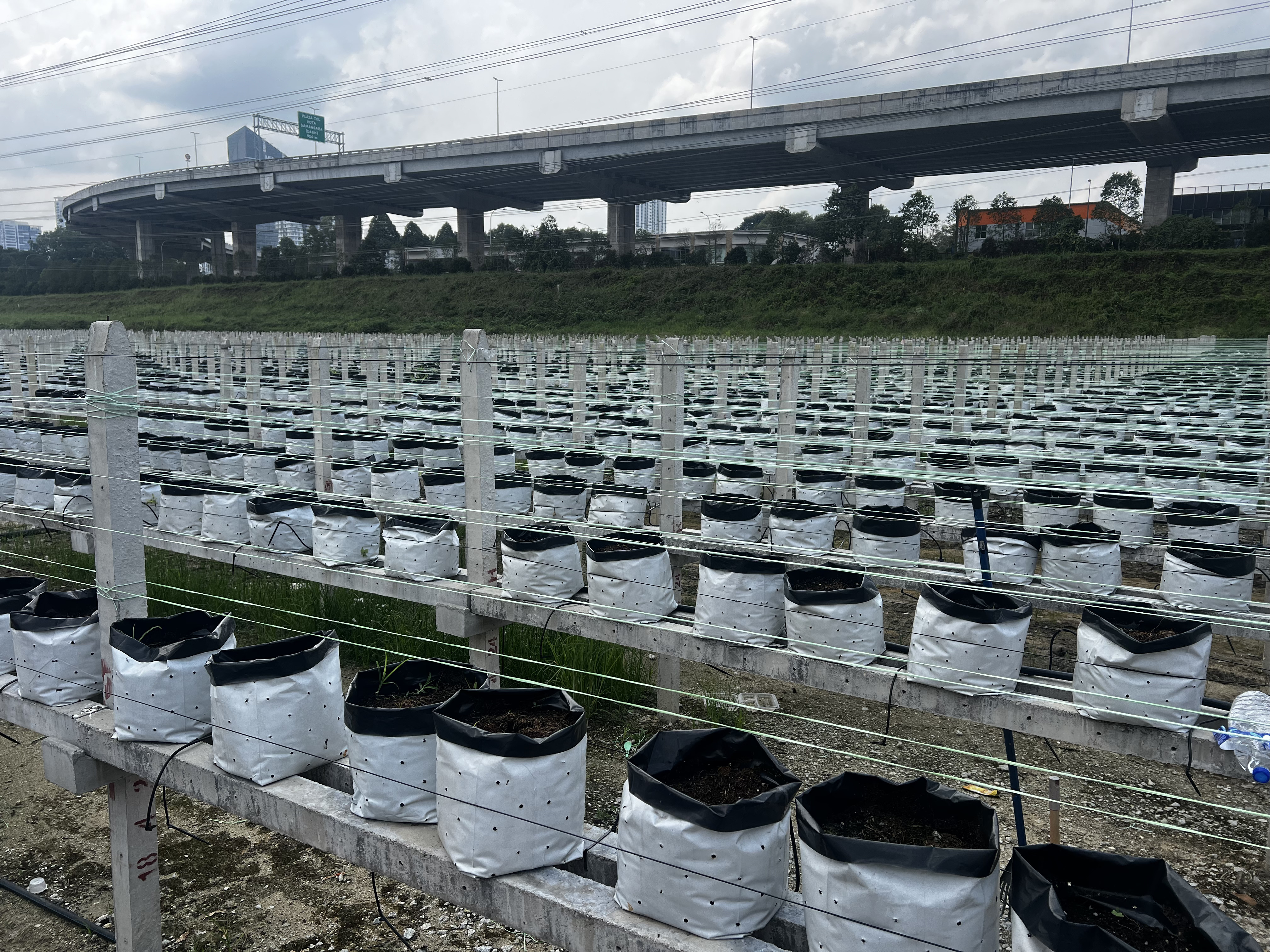 Smart Farming System Asset