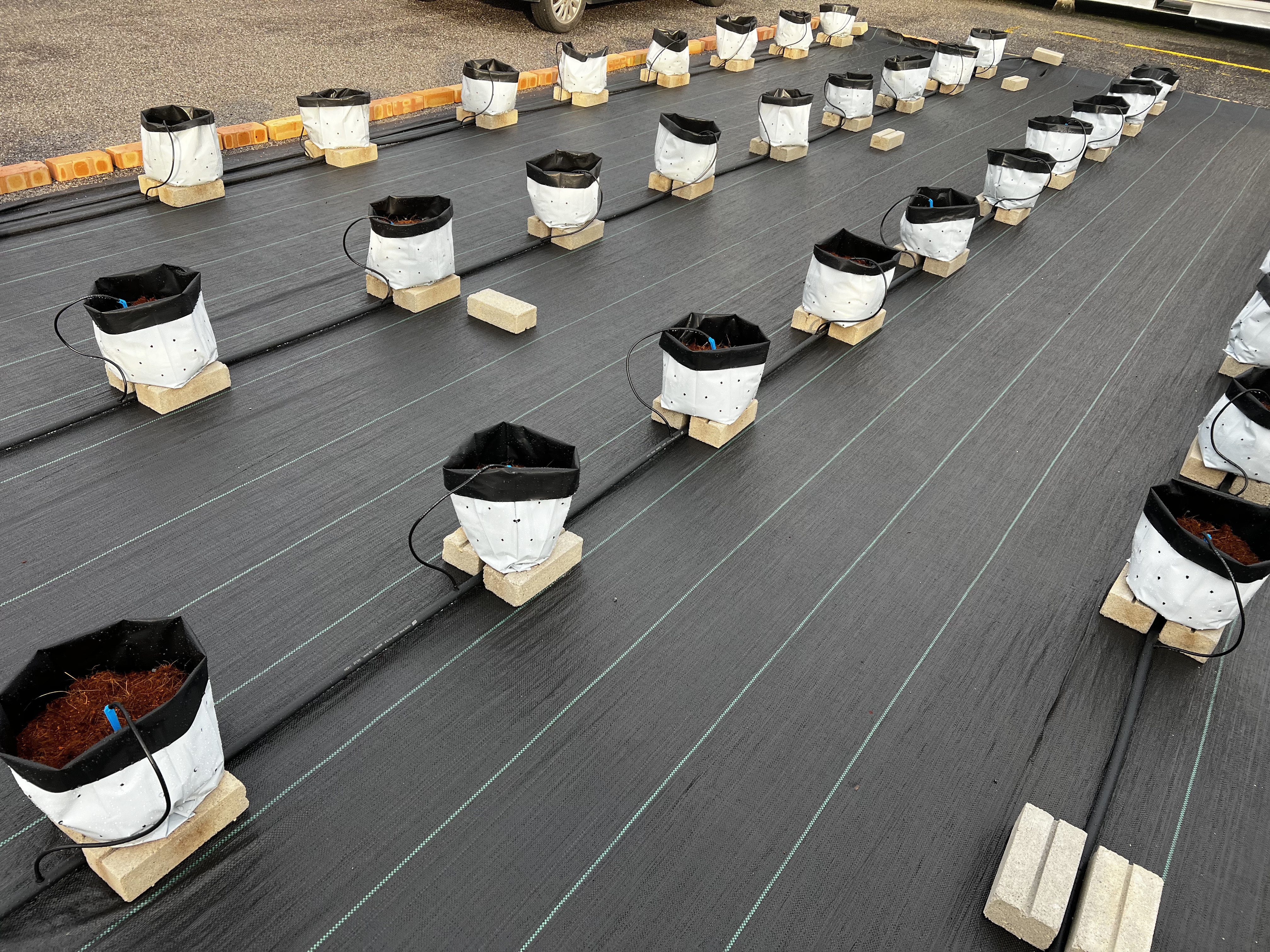 Smart Farming System Asset