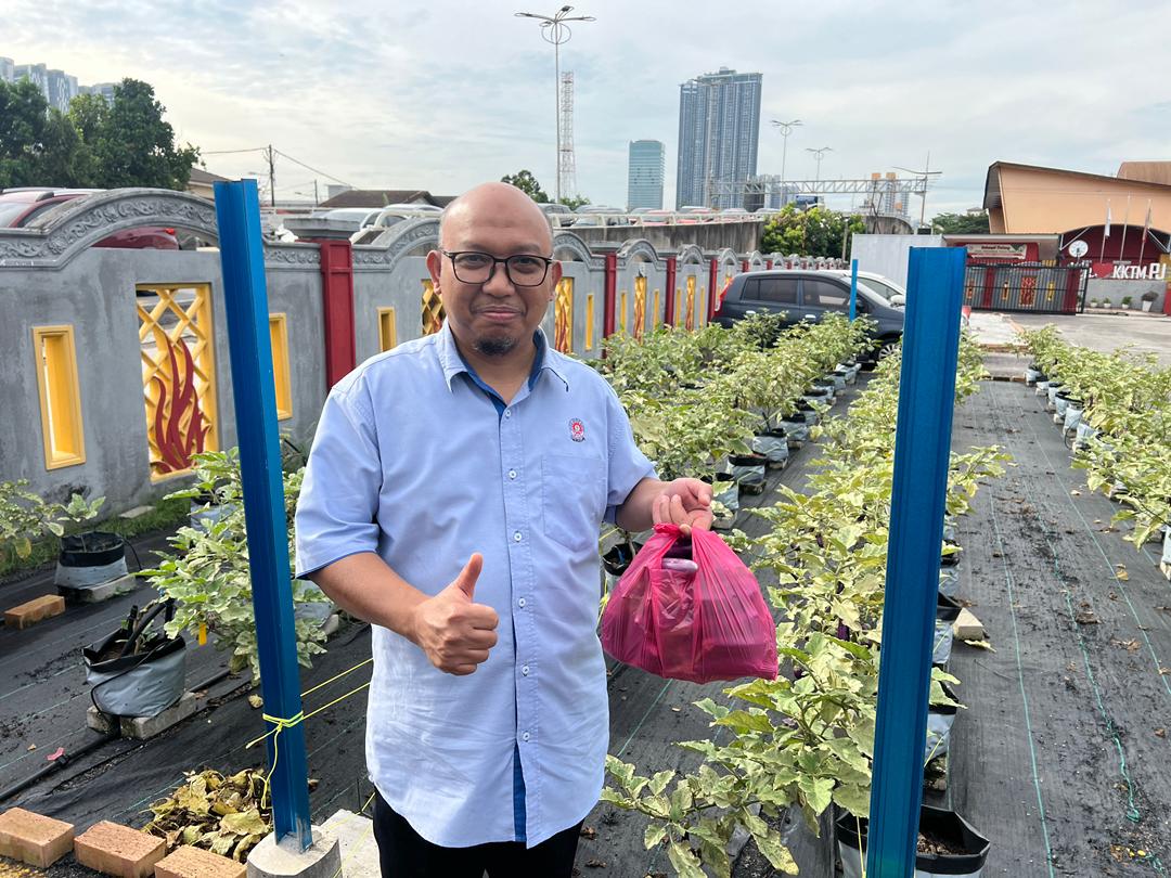 Smart Farming System Asset