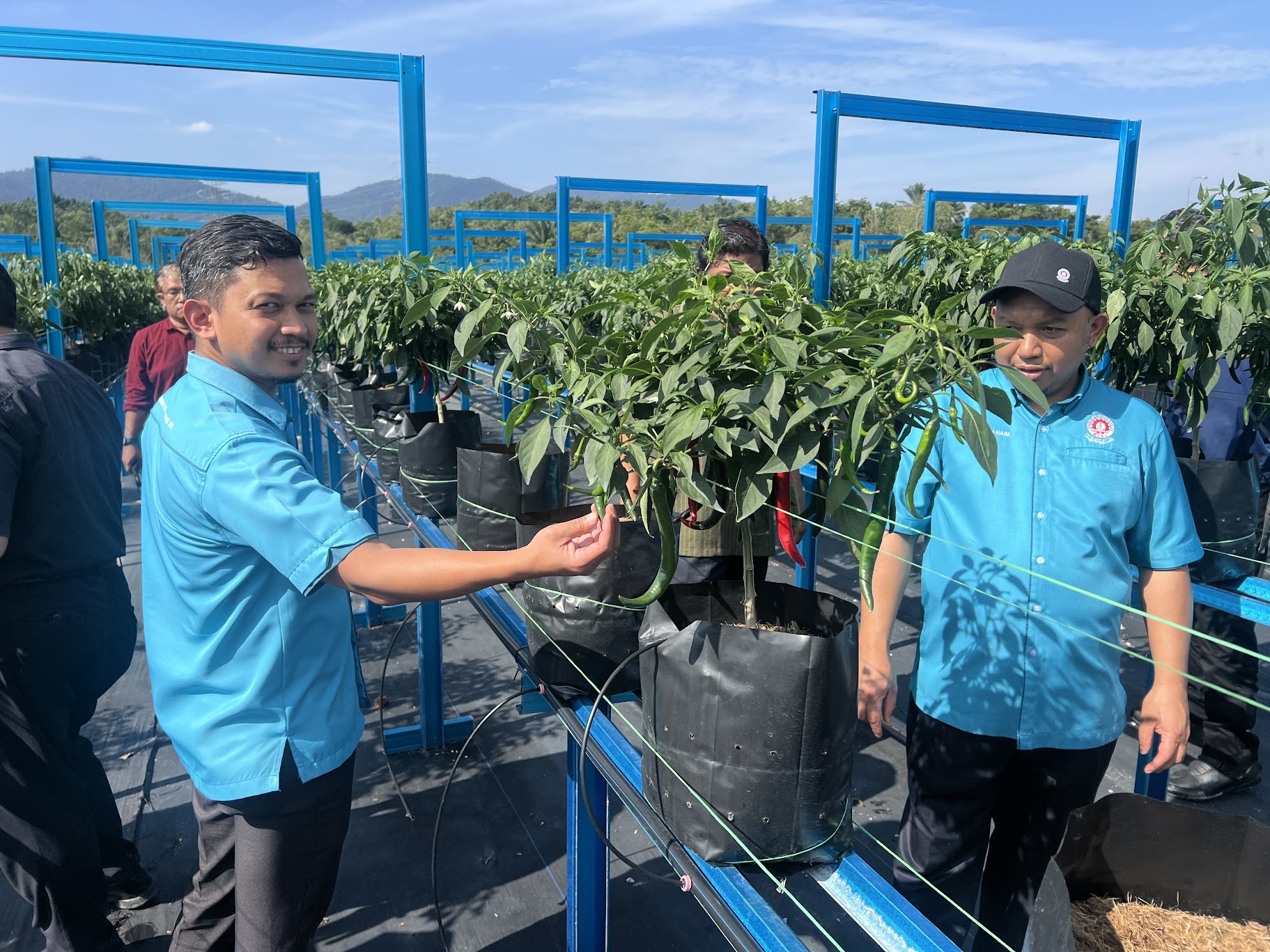 Smart Farming System Asset