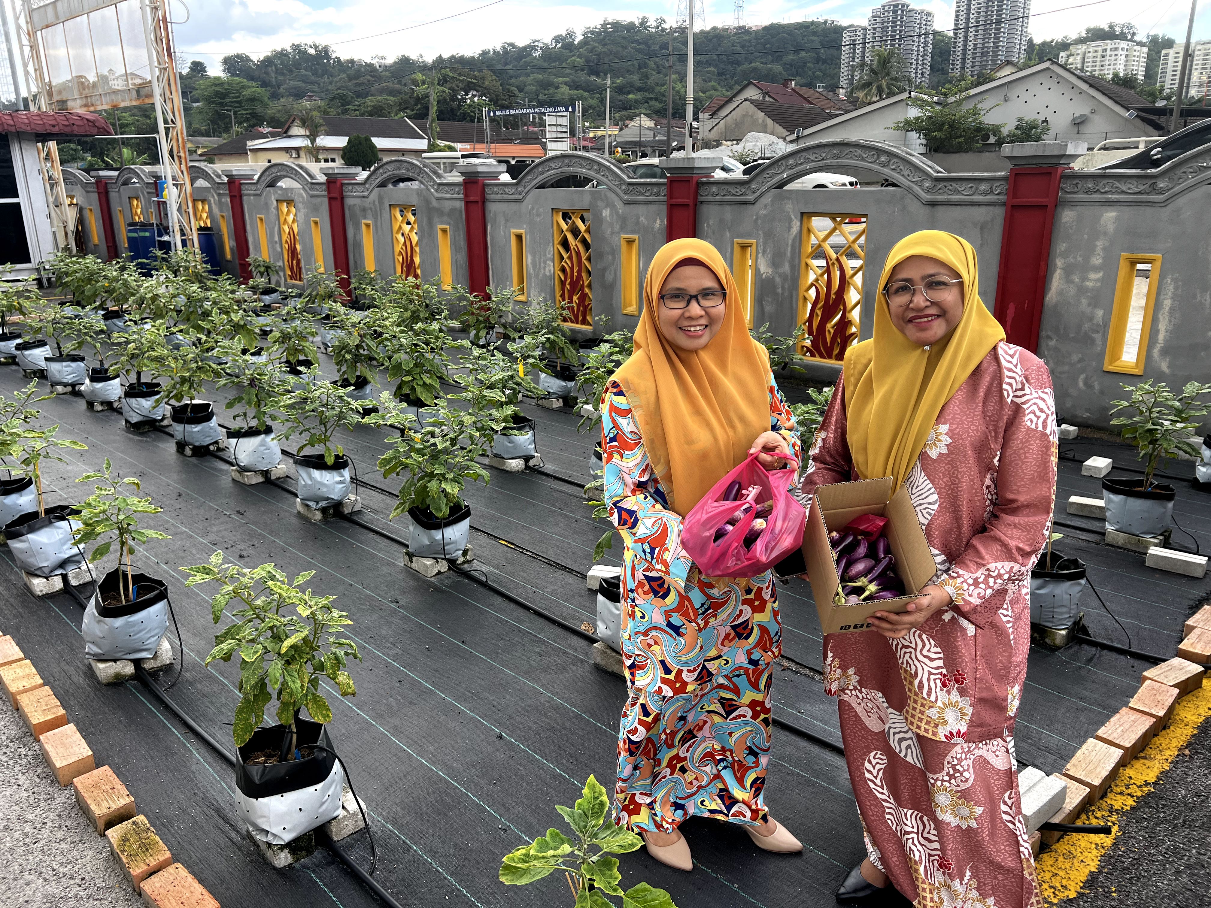 Smart Farming System Asset
