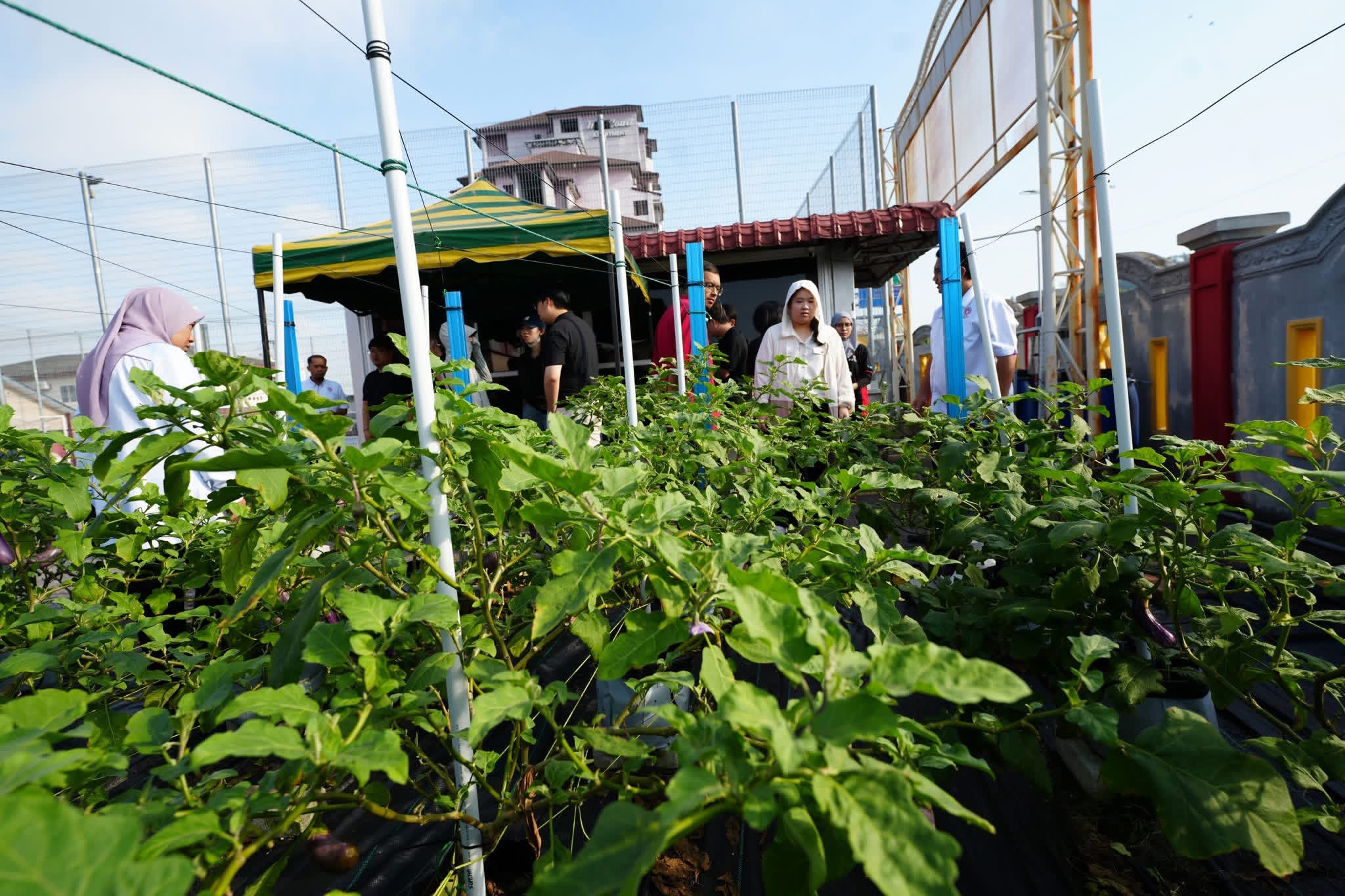 Smart Farming System Asset