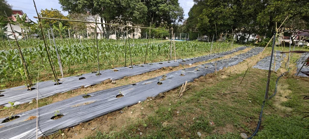 Smart Farming System Asset