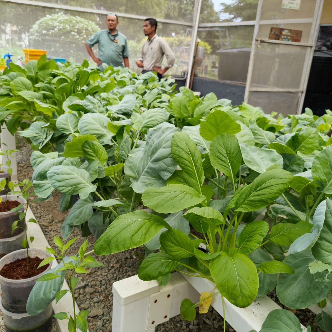 Smart Farming System Asset
