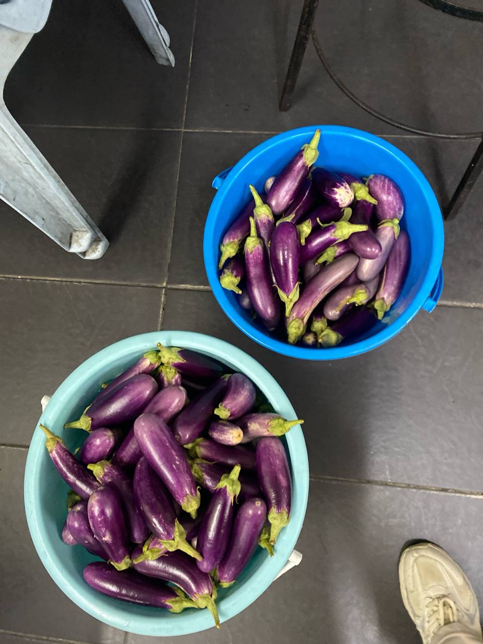 Smart Farming System Asset